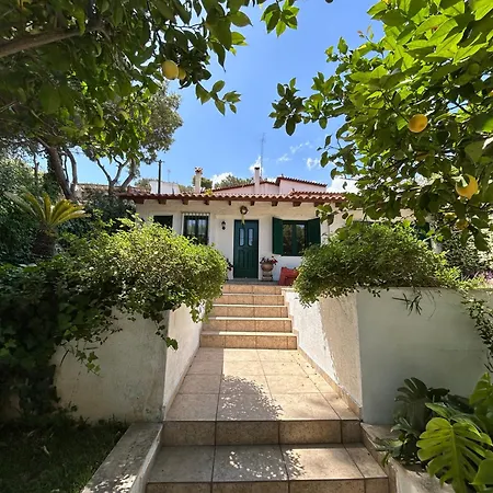 Vila Perivolakia Garden View Rafína Exteriér fotografie