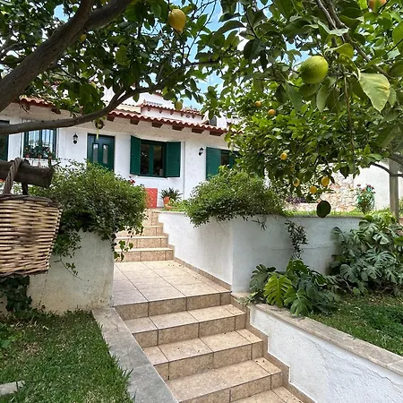 Vila Perivolakia Garden View Rafína Exteriér fotografie
