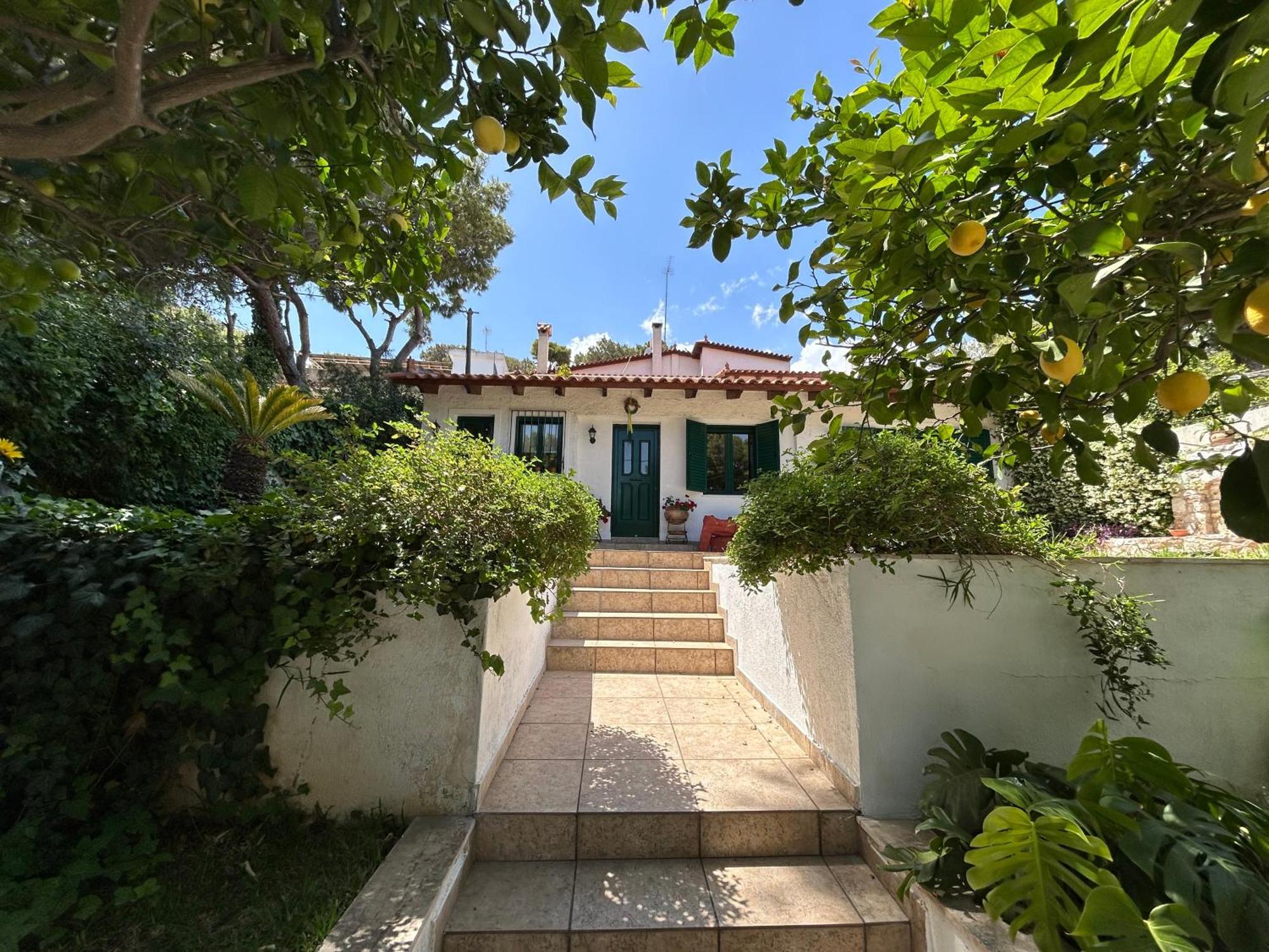 Perivolakia Garden View Rafina (Attica)